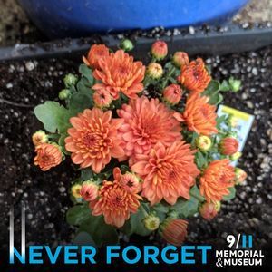 Meet your Posher, Kellie